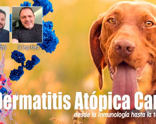 CURSO DERMATITIS ATÓPICA EN CANINOS