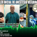 CURSO INICIAL DE ANESTESIA VETERINARIA