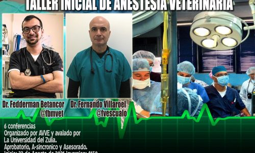 CURSO INICIAL DE ANESTESIA VETERINARIA