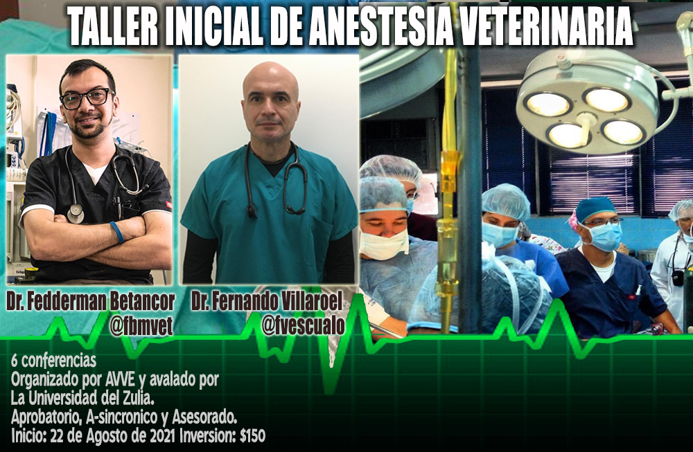 Imagen curso Anestesia 3